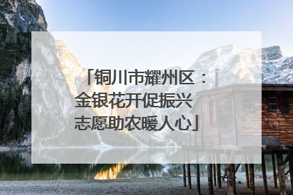 铜川市耀州区：金银花开促振兴 志愿助农暖人心